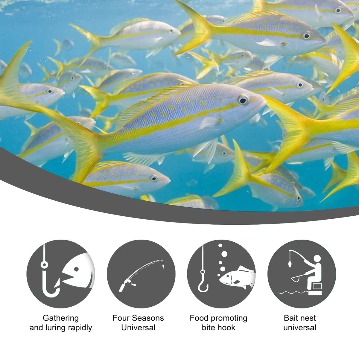 Yegbong Corn Fish Bait, Reservoir Fish Bait Fishing Lure Fish Portable Fish Primer