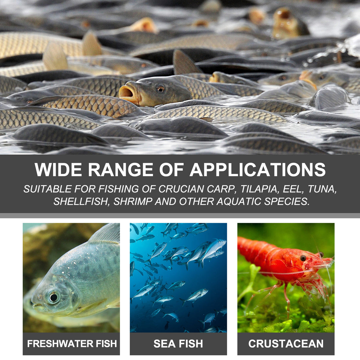 Bait Attractant, Reservoir Bait Fishing Bait Fish Portable Fish Primer