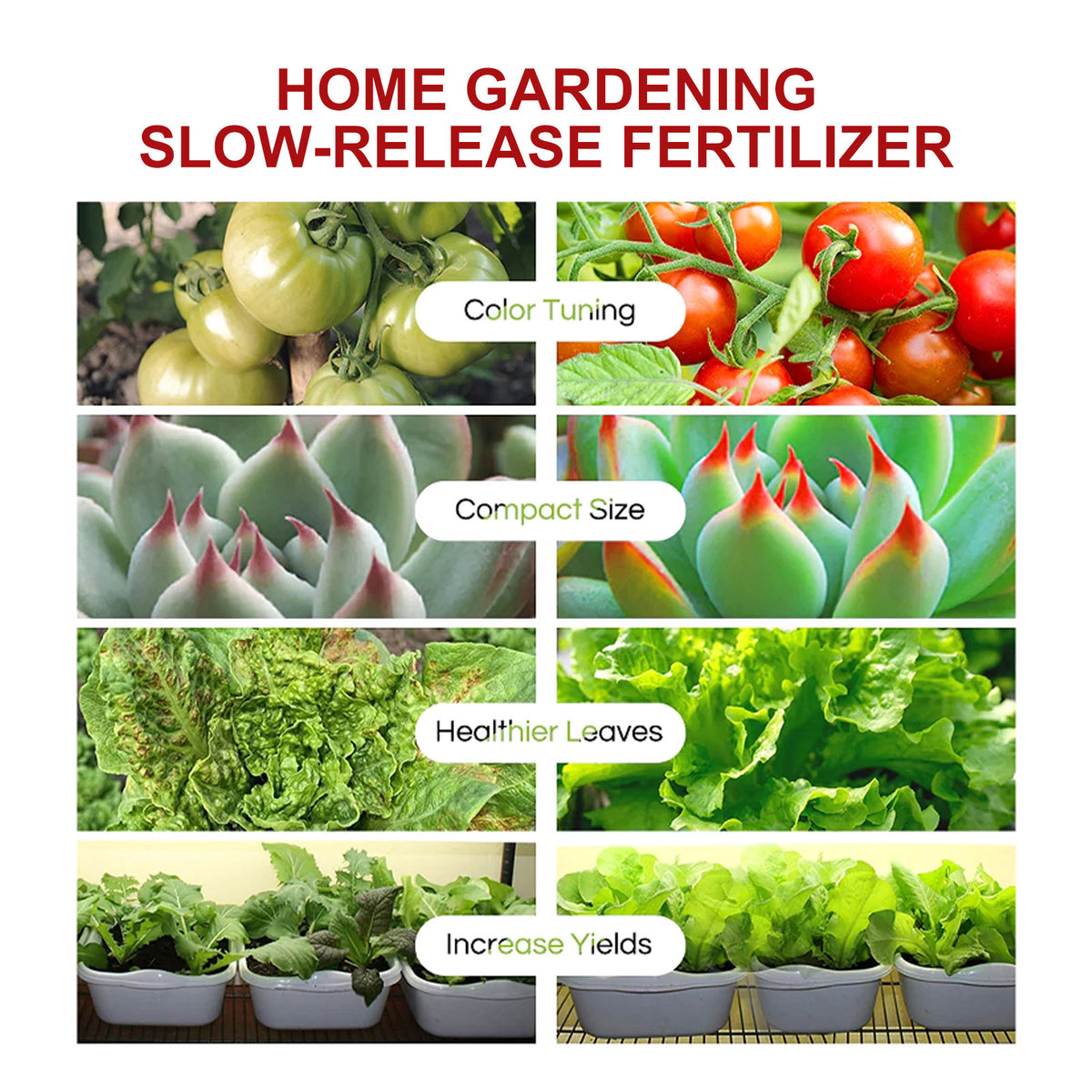 Plant Growth Nutrition Sustained-Release Tablet, Fruit And Vegetable Plant Pot Root Growth Universal Nutrition Tablet